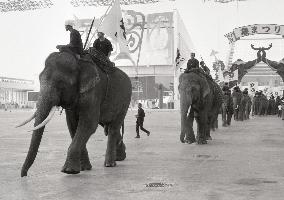 Thai National Day at Osaka World Expo